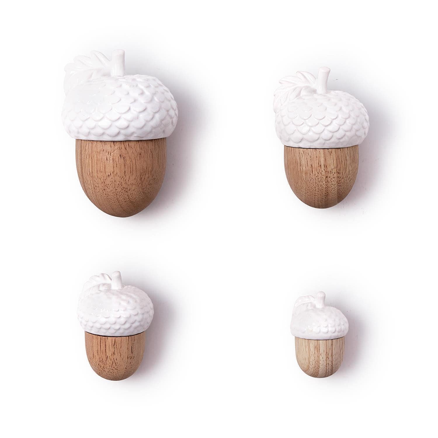 Acorn
